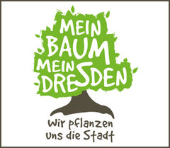 eVergabe.de für ein grüneres Dresden