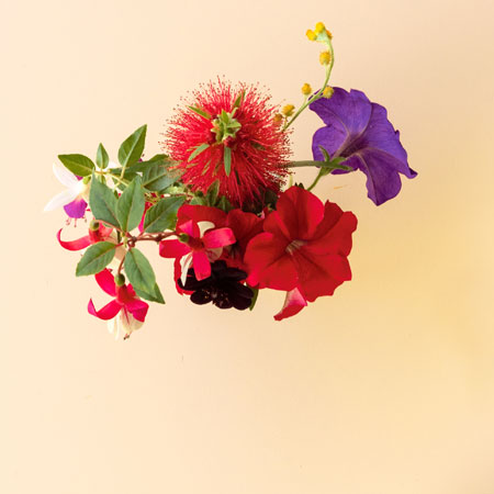 Blumen - evergabe.de