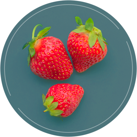 Erdbeeren - Ausschreibungen suchen